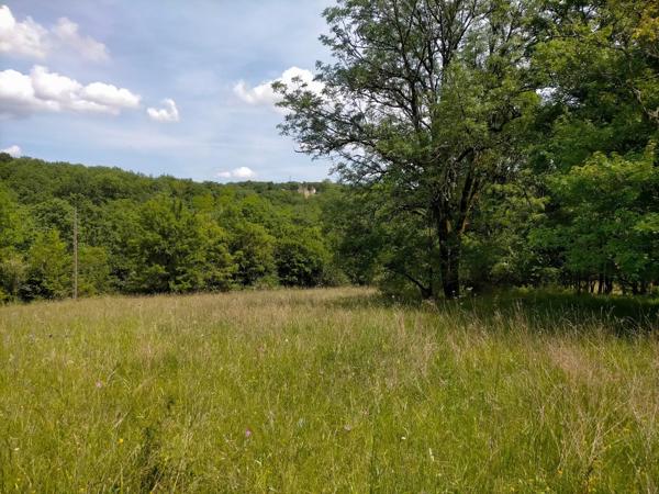 Terrain constructible boisé