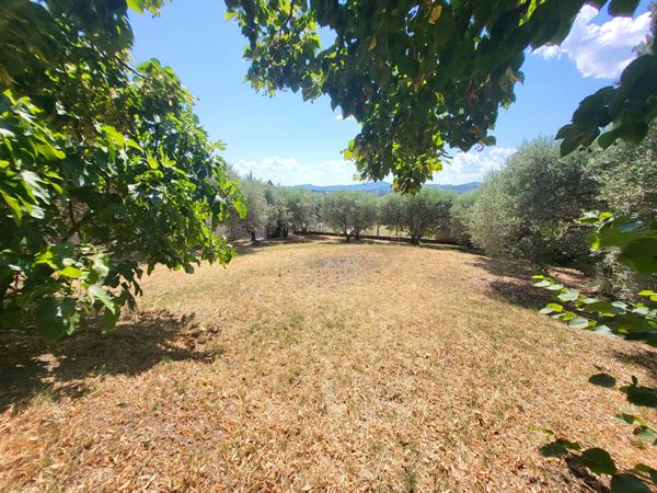 Maison à rénover, 2 garages, terrain constructible, oliviers, L Escale