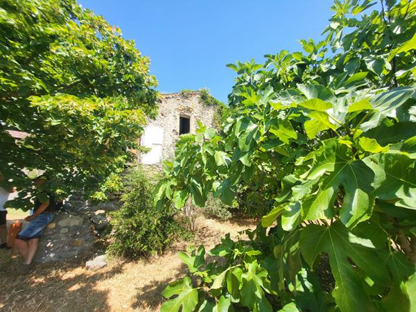 Maison à rénover, 2 garages, terrain constructible, oliviers, L Escale