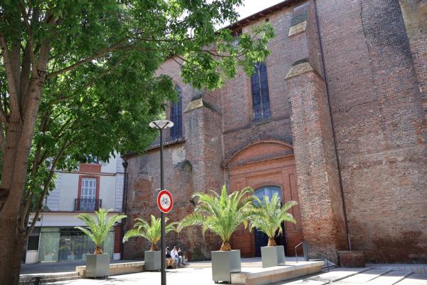 Appartement T3/T4 de charme avec projet de rénovation validé (Rue Armand Cambon, Montauban)