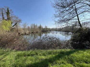 Terrain de loisirs - Bois - Etang à vendre à Connerré dans la Sarthe (72160), ref : 72033-426