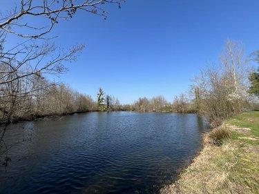 Terrain de loisirs - Bois - Etang à vendre à Connerré dans la Sarthe (72160), ref : 72033-426
