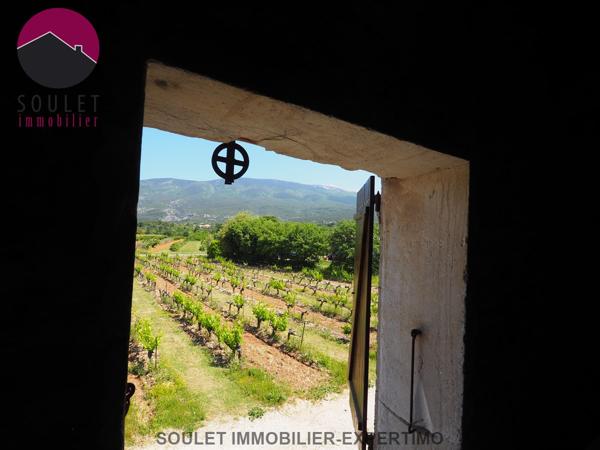 Bédoin (84410) Mas avec vue et dépendances