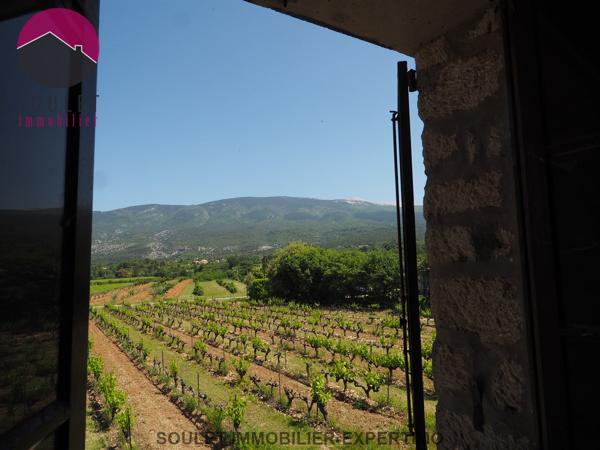 Bédoin (84410) Mas avec vue et dépendances