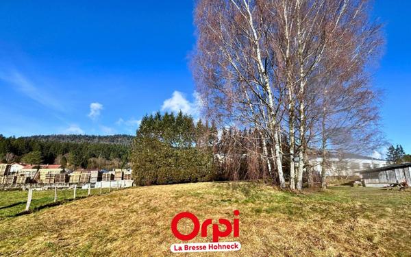 Terrain à vendre    Saint-Amé