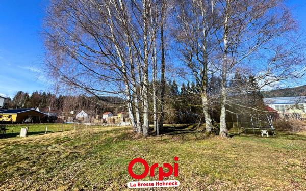 Terrain à vendre    Saint-Amé