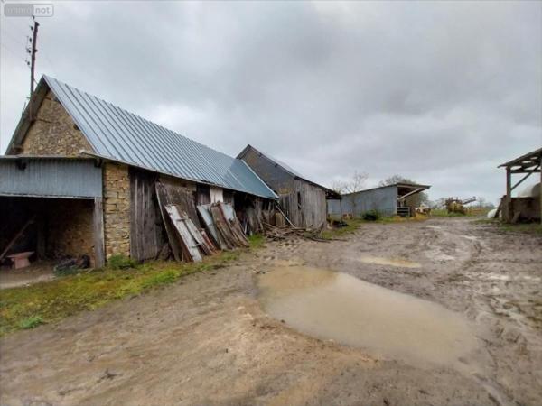 Maison à vendre à Saint-Christophe-des-Bois en Ille-et-Vilaine (35210), ref : 35131-1065383