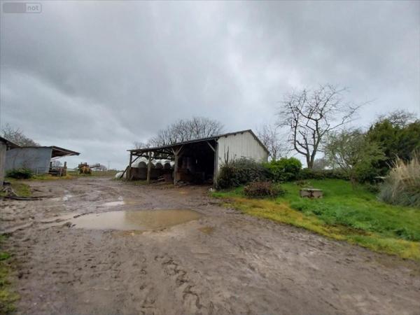 Maison à vendre à Saint-Christophe-des-Bois en Ille-et-Vilaine (35210), ref : 35131-1065383