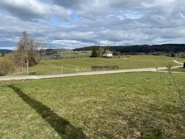 Vente Terrain 733 m2 à Les Grangettes