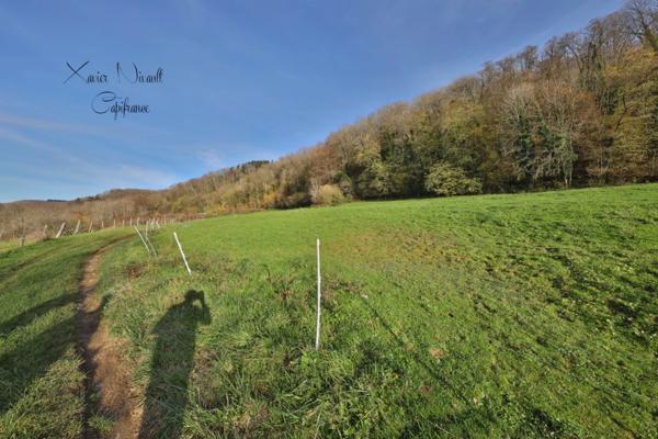 Maison à vendre 0 pièces proche de SAINT AMOUR (39)