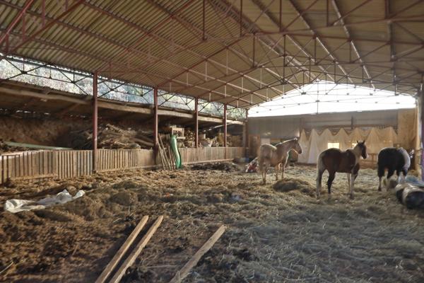 Maison à vendre 0 pièces proche de SAINT AMOUR (39)