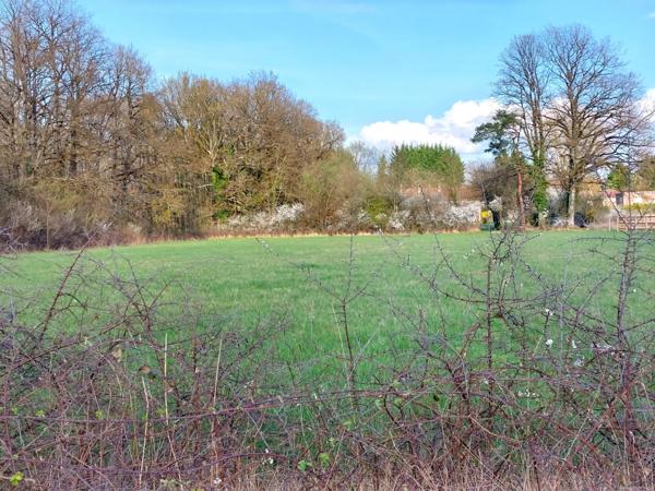 77, Montereau, maison en pierre , très bon état sur environ 1hectare