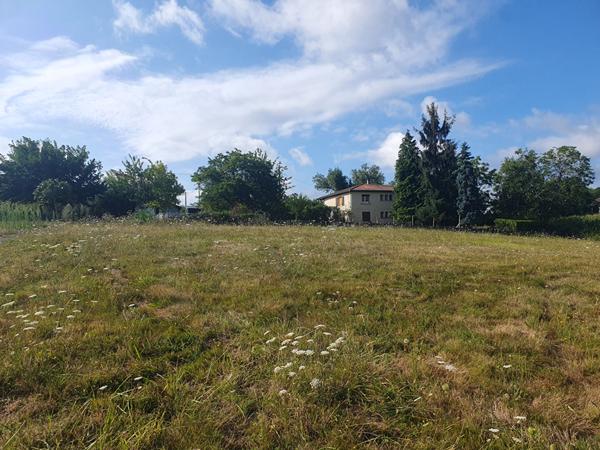 TERRAIN  1768m² VIABILISE ET CONSTRUCTIBLE A EAUZE