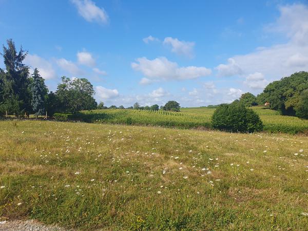 TERRAIN  1768m² VIABILISE ET CONSTRUCTIBLE A EAUZE