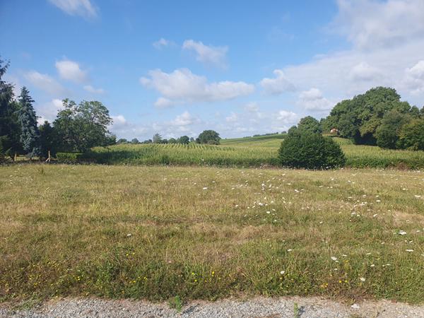 TERRAIN  1768m² VIABILISE ET CONSTRUCTIBLE A EAUZE