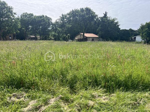 Situé sur la charmante commune de Grayan-et-l'hôpital, ce terrain de 1432m² offre un cadre agréable pour concrétiser votre projet de construction.
Implanté en bord de route, en plein bourg de Grayan. Il bénéficie d’un accès facile et d’une belle visibilité.

Le terrain présente une surface plane et exploitable, facilitant l’aménagement selon vos envies.

À proximité des commodités, idéalement situé dans le bourg de Grayan.

À découvrir sans tarder !