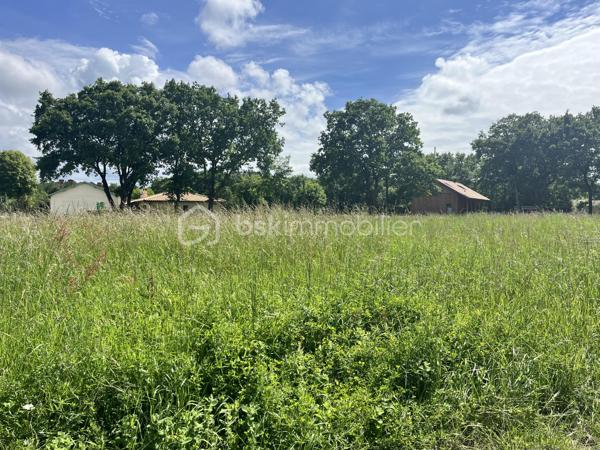 Situé sur la charmante commune de Grayan-et-l'hôpital, ce terrain de 1432m² offre un cadre agréable pour concrétiser votre projet de construction.
Implanté en bord de route, en plein bourg de Grayan. Il bénéficie d’un accès facile et d’une belle visibilité.

Le terrain présente une surface plane et exploitable, facilitant l’aménagement selon vos envies.

À proximité des commodités, idéalement situé dans le bourg de Grayan.

À découvrir sans tarder !