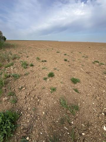 Terrain à Batir à vendre à Binas dans le Loir-et-Cher (41240), ref : 41029-53