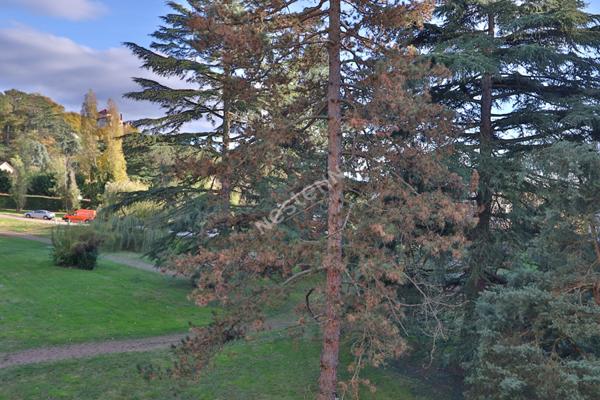 Appartement 4 pièces - Francheville Le Bas - proche commodités