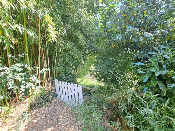 Terrain de loisirs 2 pièces à vendre Vouneuil sur Vienne - 86210 / Réf: 11750