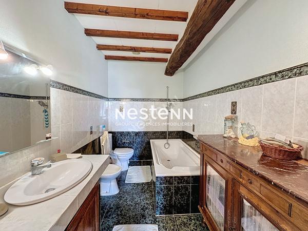 Maison Seissan 10 pieces 280 m2 jardin 7000 m2 calme sans vis a vis