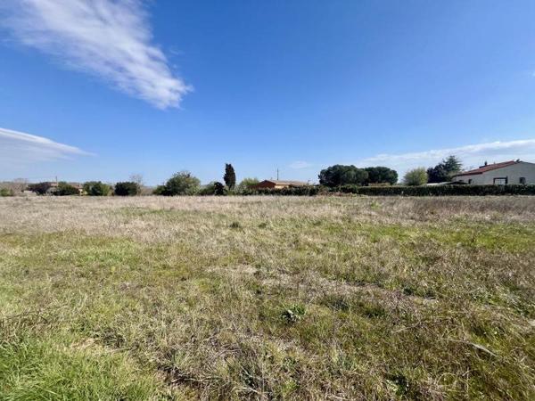 Terrain à vendre |  Mazères |  4155 m²