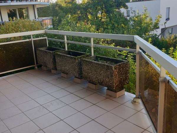 Location Appartement 3 pièces Strasbourg (67000)