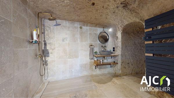 Saint-Étienne-de-Chigny (37230) Belle maison troglodyte