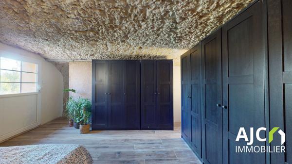 Saint-Étienne-de-Chigny (37230) Belle maison troglodyte