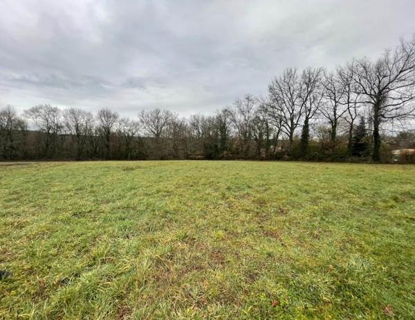 Terrain à vendre |  Ribérac |  3833 m²