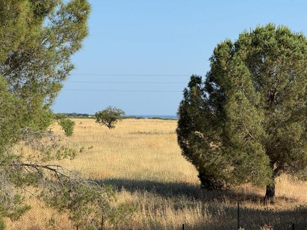 Exclusivité Villa d'architecte avec piscine et grand parc arboré