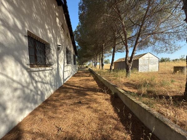 Exclusivité Villa d'architecte avec piscine et grand parc arboré