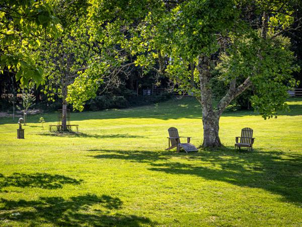 Exceptionnel Domaine à 10 minutes de Cabourg -Normandie ? Pays d'Auge
