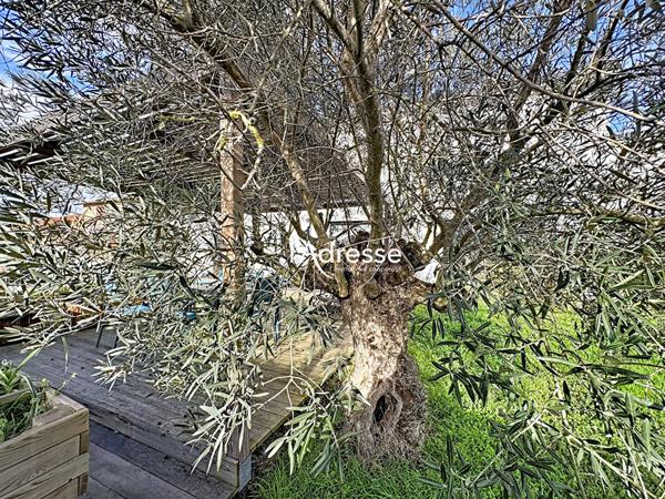 Exclusivité l'Adresse Immobilier - Tournefeuille - Maison T5 de 154m² sur un Terrain de 607m².