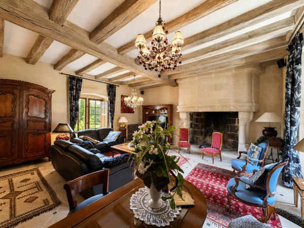 Vente Château Bourgueil 29 Pièces 1000 m²