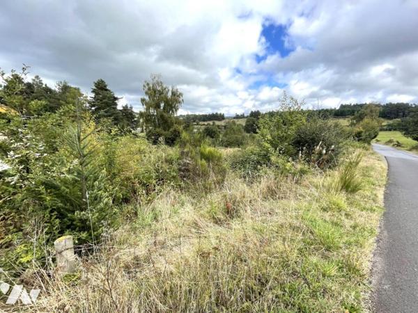 A VENDRE  TERRAIN INDUSTRIEL  