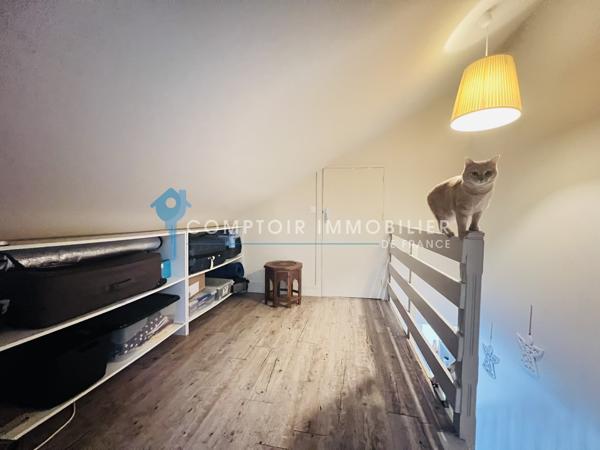 Duplex
                                                                                                                                                                                                                                                                                                                        3 pièce(s)                                                                                                                                                                                                          1 chambre(s)                                                                                                                                                                                                          48.53  m²