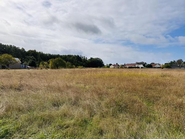 Terrain à vendre |  Fougères-sur-Bièvre |  818 m²