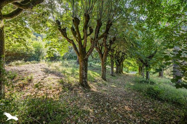 Maison à vendre 337 920 € Pocé-sur-Cisse 8 p 280 m² DPE G