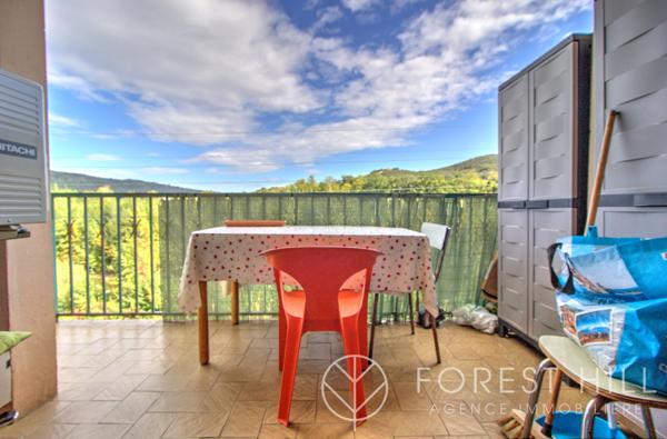 Amélie-les-Bains-Palalda (66110) Appartement F4 avec jardin et véranda