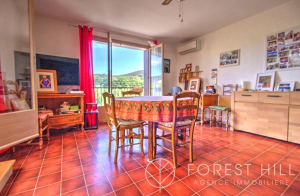 Amélie-les-Bains-Palalda (66110) Appartement F4 avec jardin et véranda