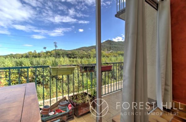 Amélie-les-Bains-Palalda (66110) Appartement F4 avec jardin et véranda