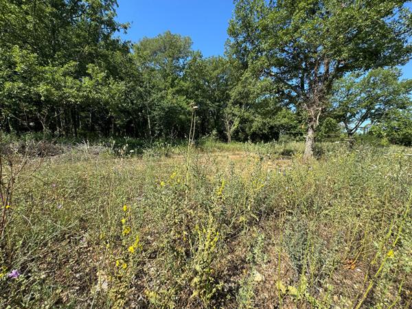 Achat terrain Tourrettes - 1500 m² - 231 000 €