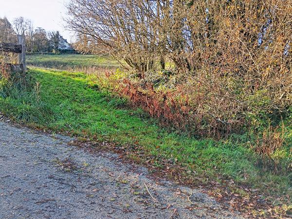 Terrain constructible Meslan