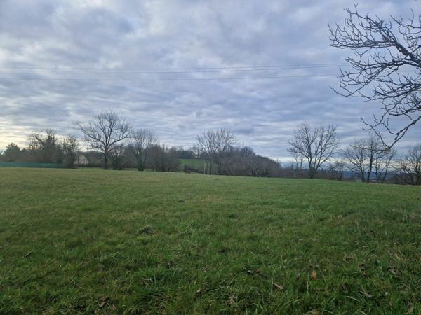 Terrain à vendre    Chavagnac