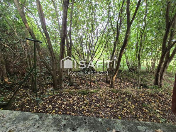 maison de plain pied à restaurer, en campagne, avec 11 000m² terrain