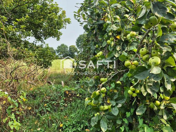 maison de plain pied à restaurer, en campagne, avec 11 000m² terrain