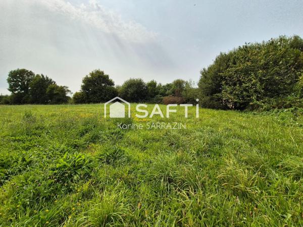 maison de plain pied à restaurer, en campagne, avec 11 000m² terrain