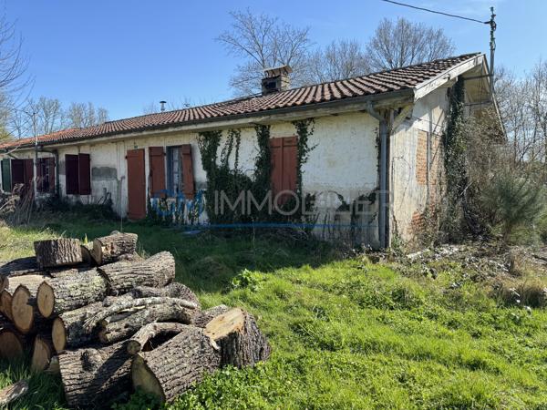 Maison landaise à rénover – Fort potentiel à Linxe