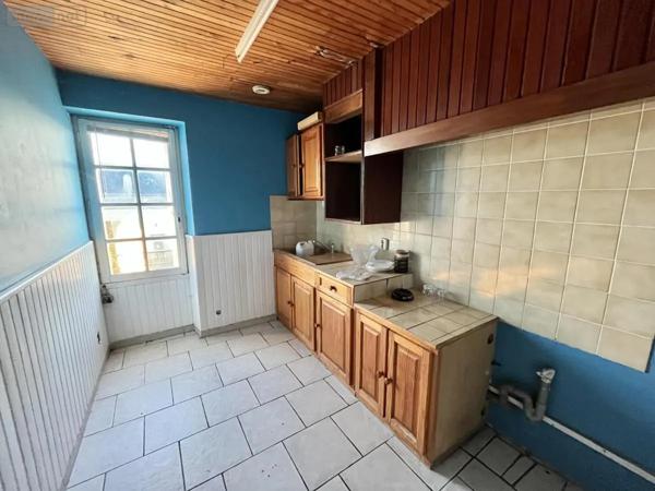 Achat - Immeuble Ingrandes-le-Fresne-sur-Loire 49123 314 m 2 513 m 2
